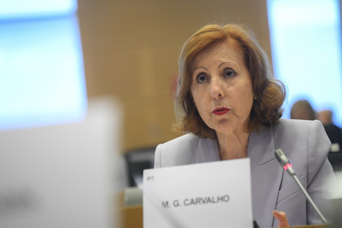 Maria da Graça Carvalho defende reforço na ciência e na inovação para alcançar metas climáticas, de energia e industriais