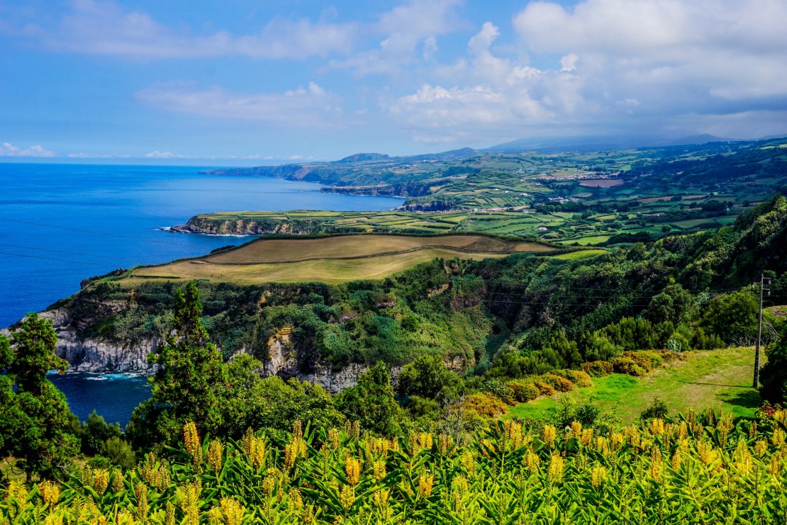 Açores e Madeira salvaguardadas no acordo alcançado para a transição da PAC